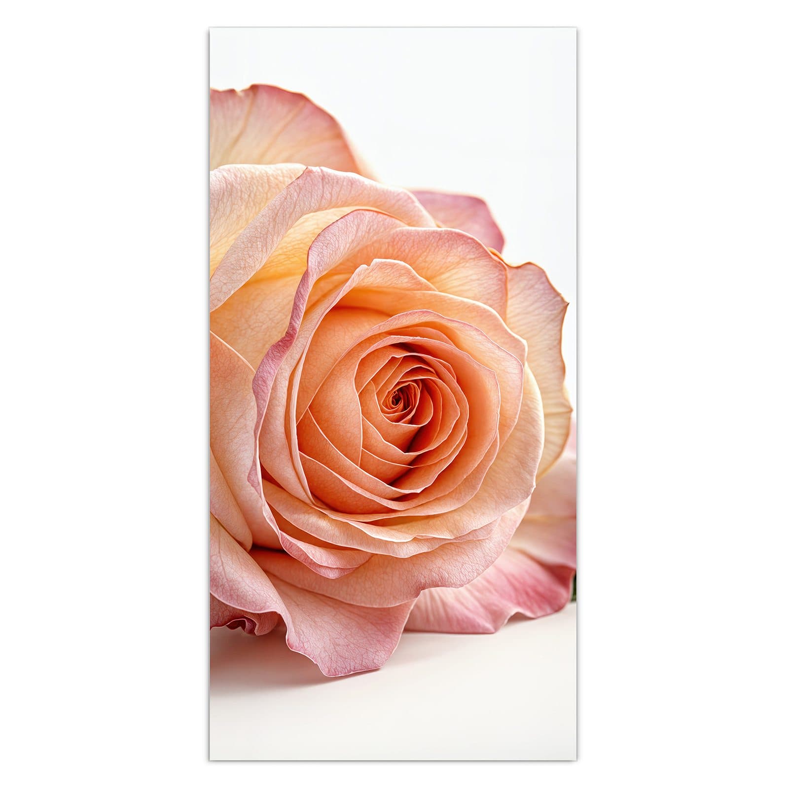 #grösse_30 x 60 cm #grösse_40 x 80 cm #grösse_50 x 100 cm #grösse_55 x 110 cm #grösse_60 x 120 cm