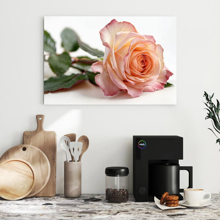 Maße Metall Magnettafel - Rose in Apricot