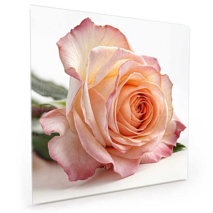 Maße Küchenrückwand Rose in Apricot aus Glas