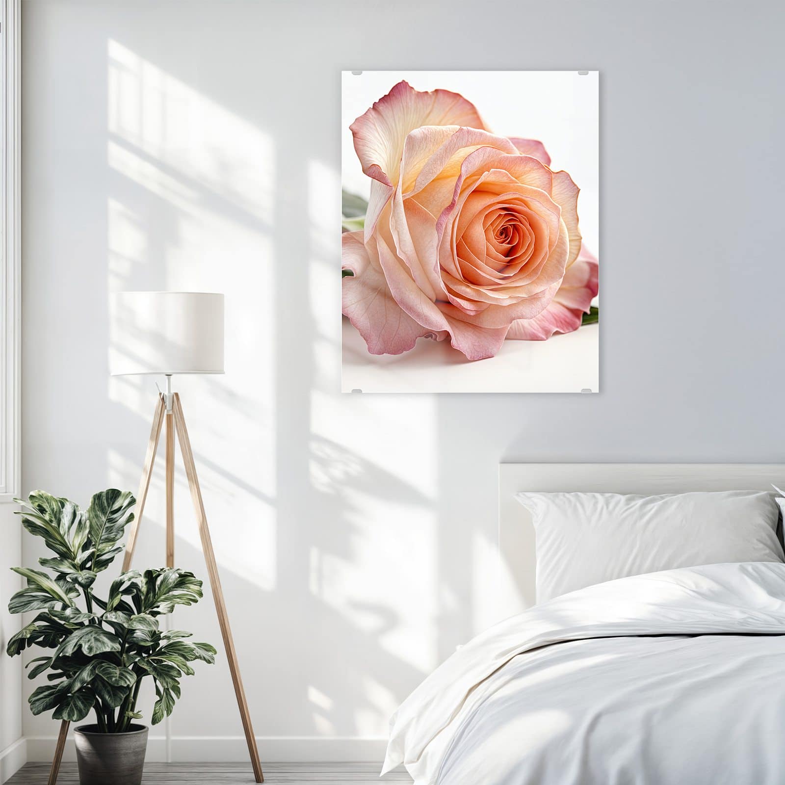 #grösse_60 x 75 cm #grösse_80 x 100 cm