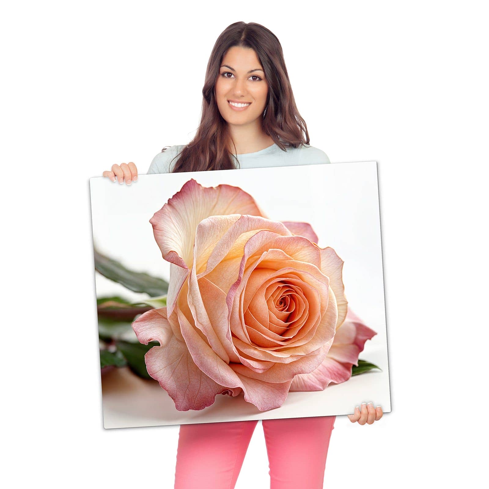 Herdabdeckplatte aus Glas mit Elegante Rose Blüte-Motiv wird zur Größendarstellung gehalten