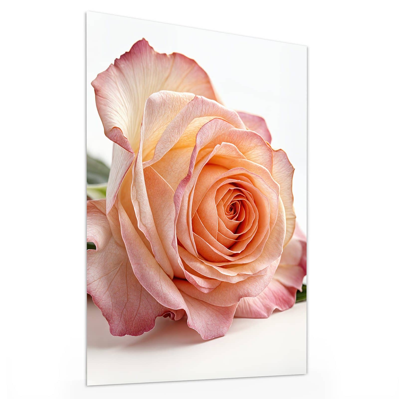 #grösse_30 x 40 cm #grösse_60 x 80 cm #grösse_75 x 100 cm