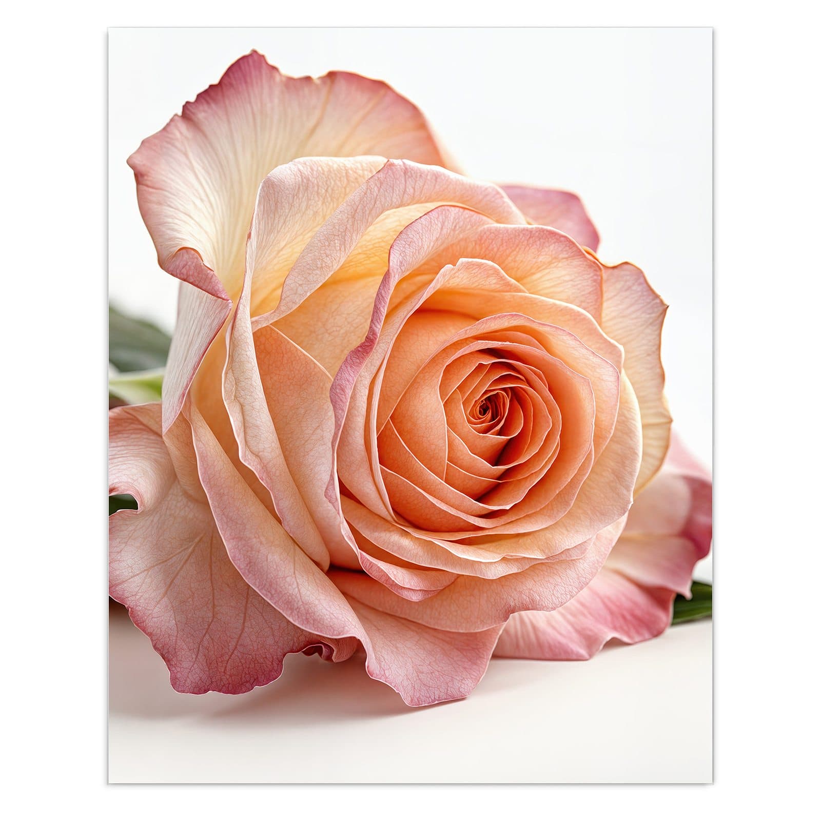 #grösse_60 x 75 cm #grösse_80 x 100 cm