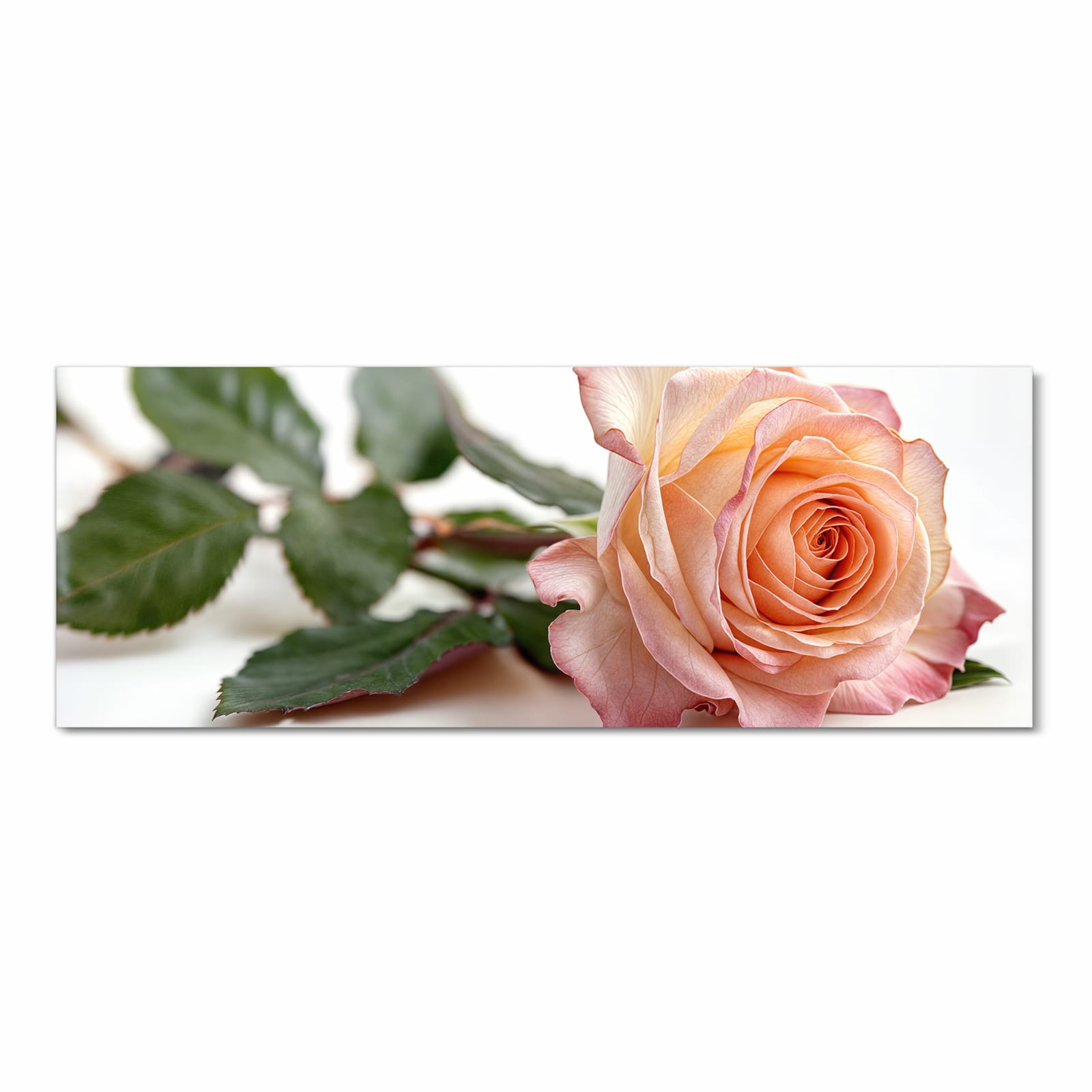 Komfortabler Küchenläufer mit Motiv Elegante Rose Blüte in Frontansicht für die Küche