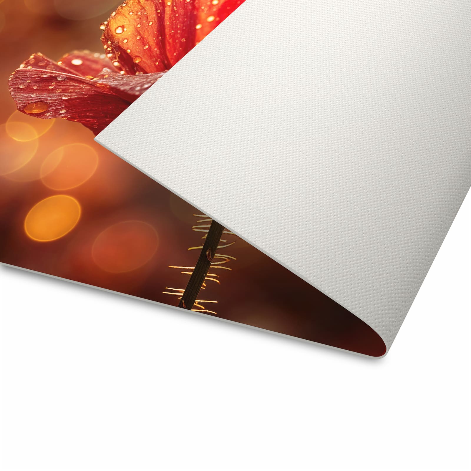 Abriebfester Teppich fürs Esszimmer mit Motiv Blühende Mohnblume waschbar