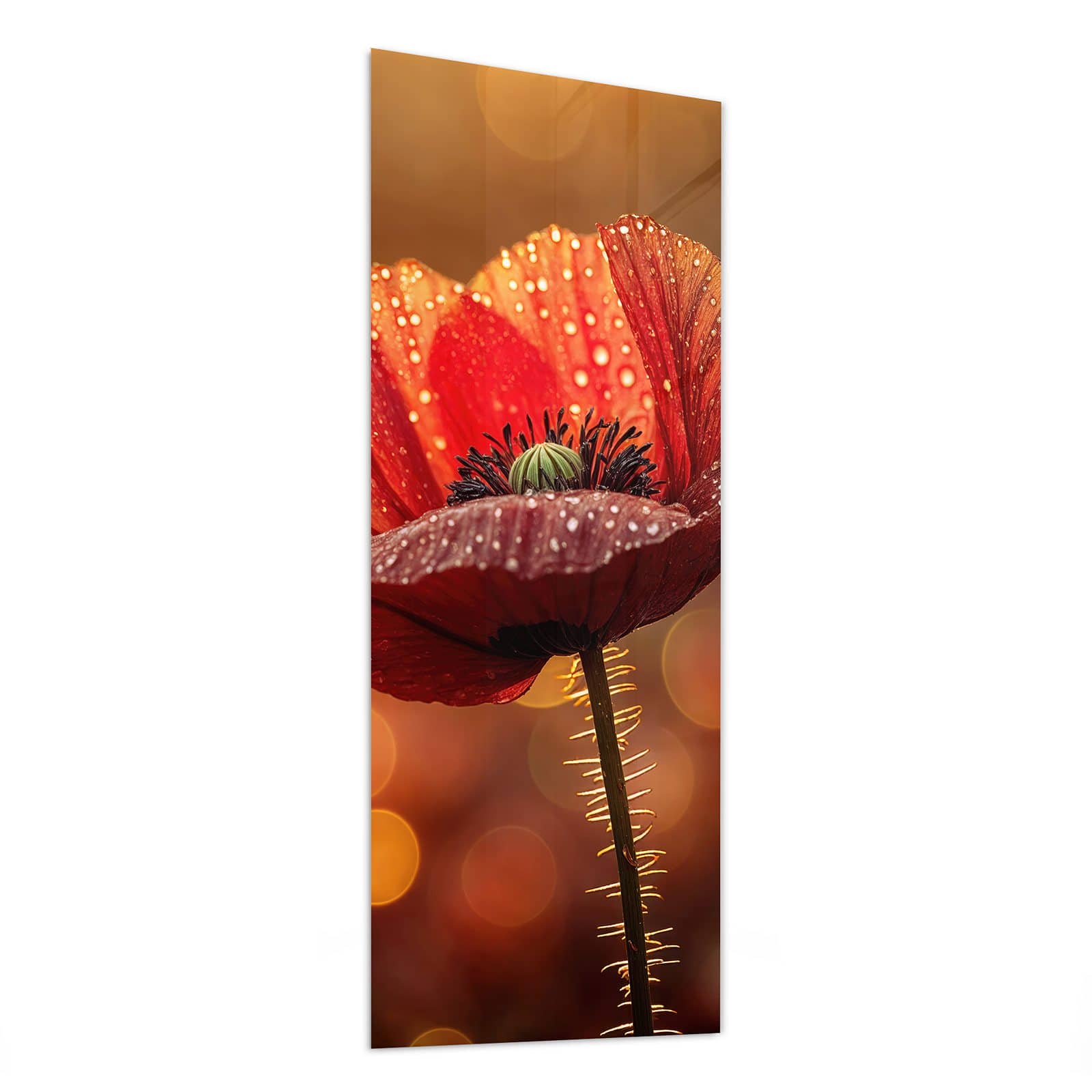 #grösse_50 x 125 cm #grösse_40 x 100 cm #grösse_60 x 150 cm