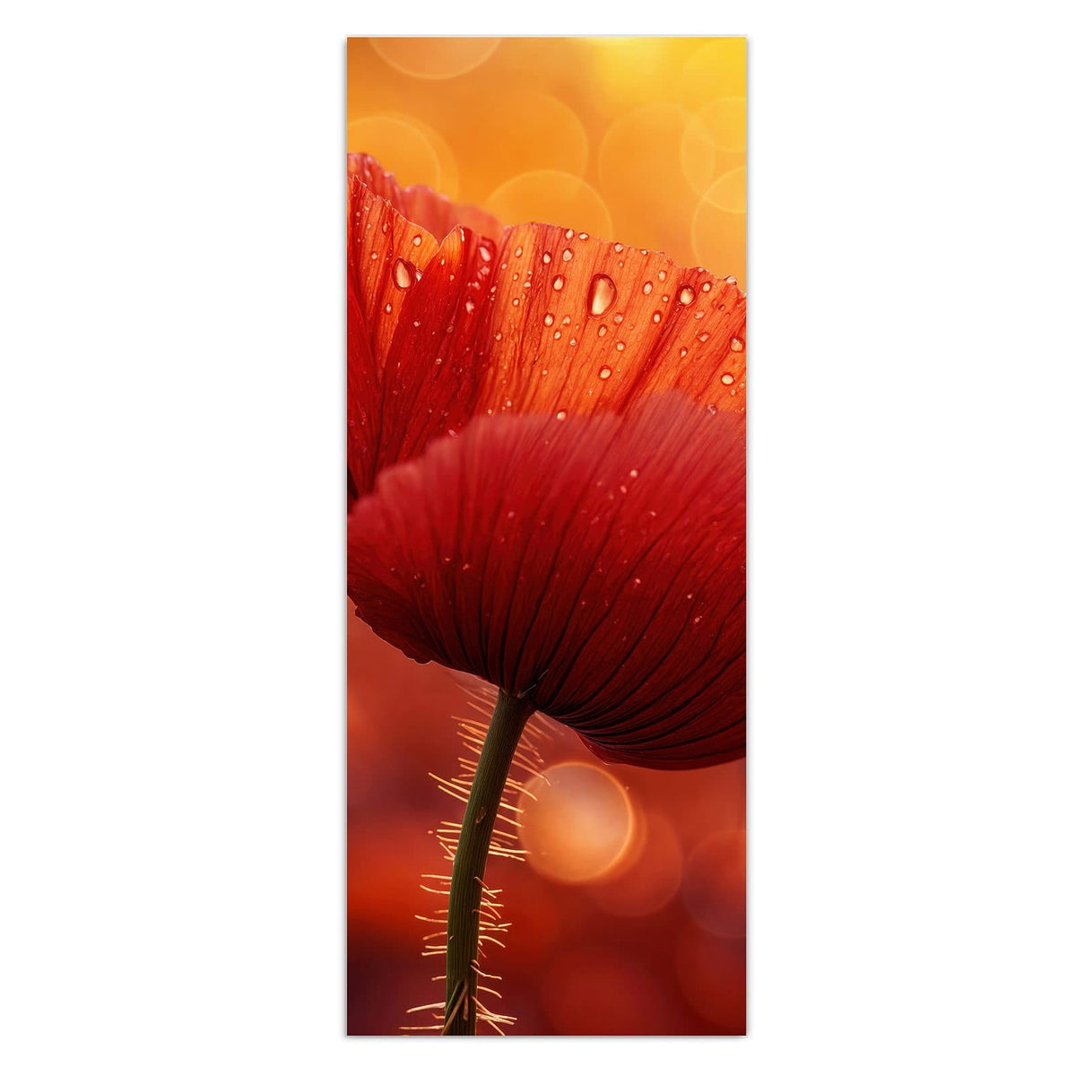 Wandbild - Mohn mit Tautropfen - Hochformat – Rote Blüte vor goldenem Bokeh