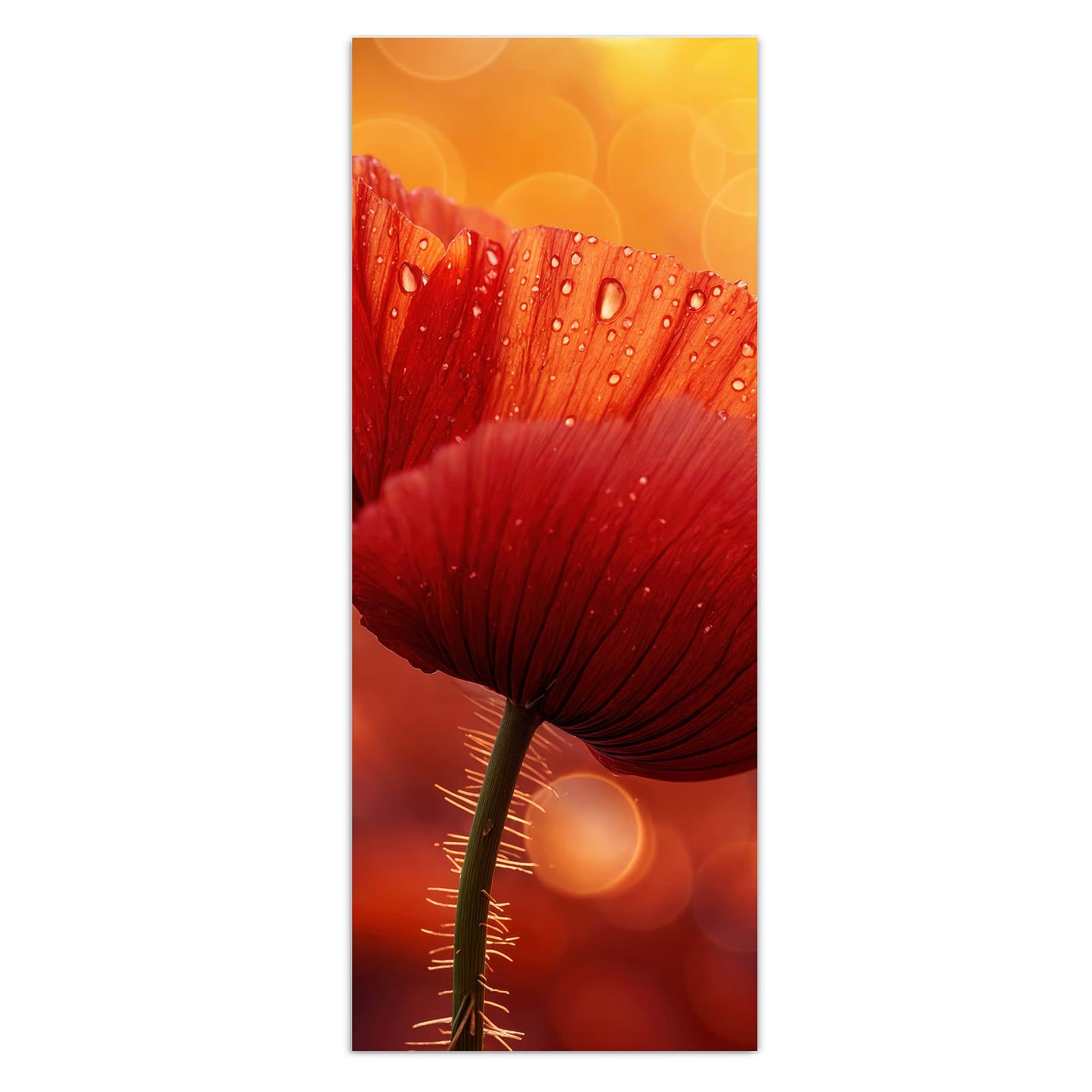 #grösse_50 x 125 cm #grösse_40 x 100 cm #grösse_60 x 150 cm