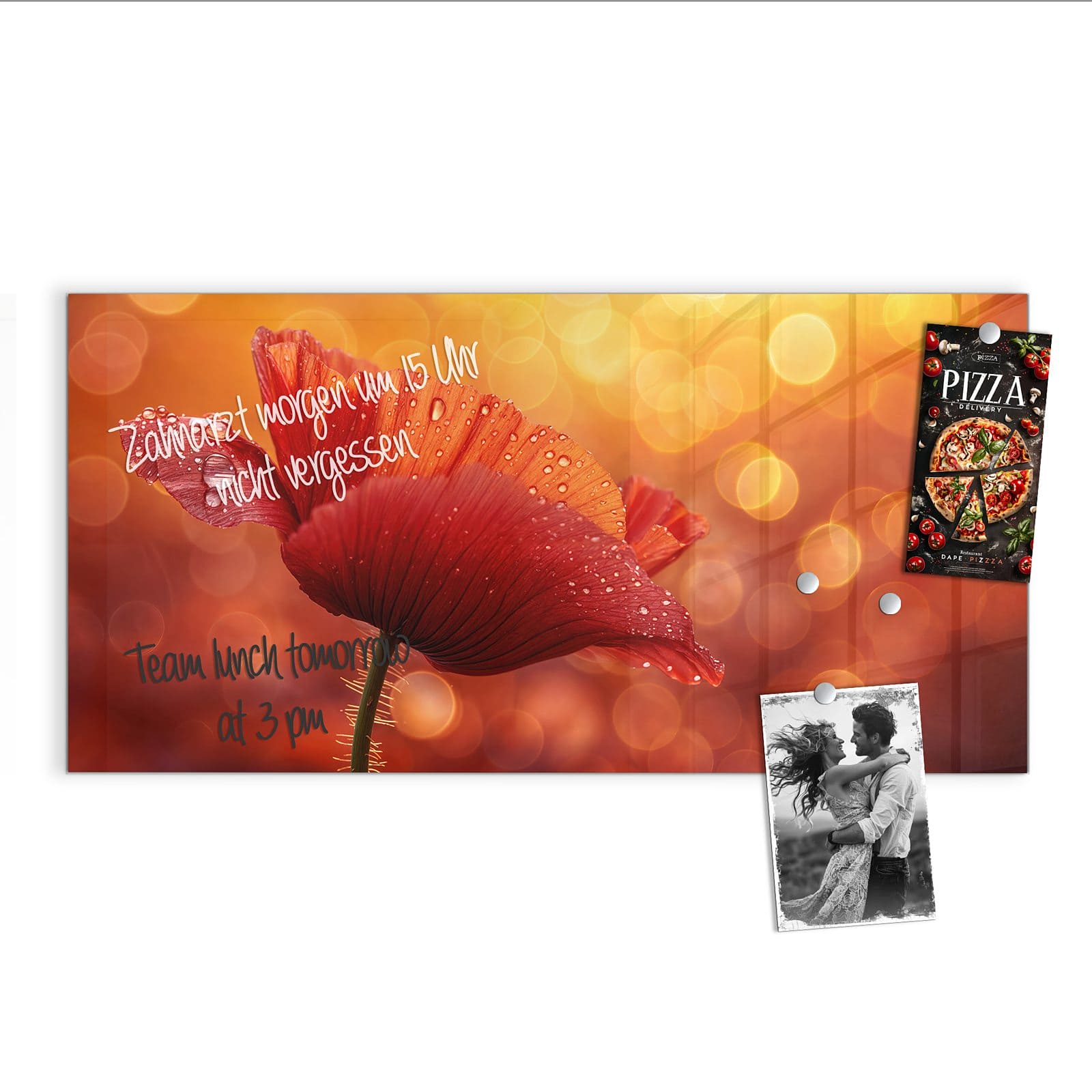 #grösse_100 x 50 cm