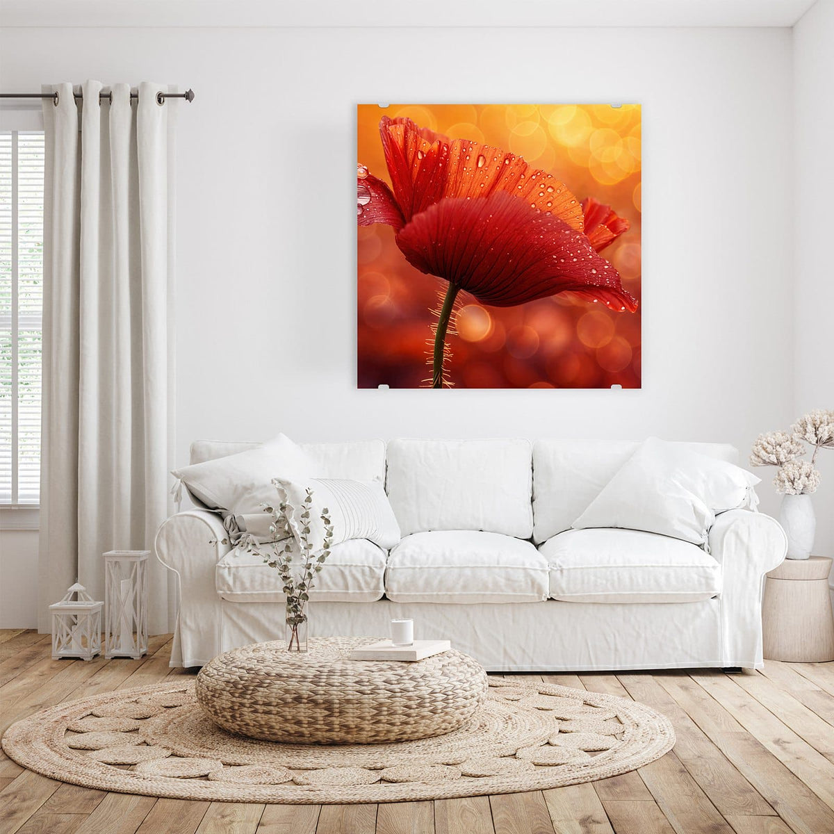 Glasbild Mohn mit Tautropfen an der Wand – Roter Klatschmohn mit vielen Wassertropfen vor goldorangem Bokeh