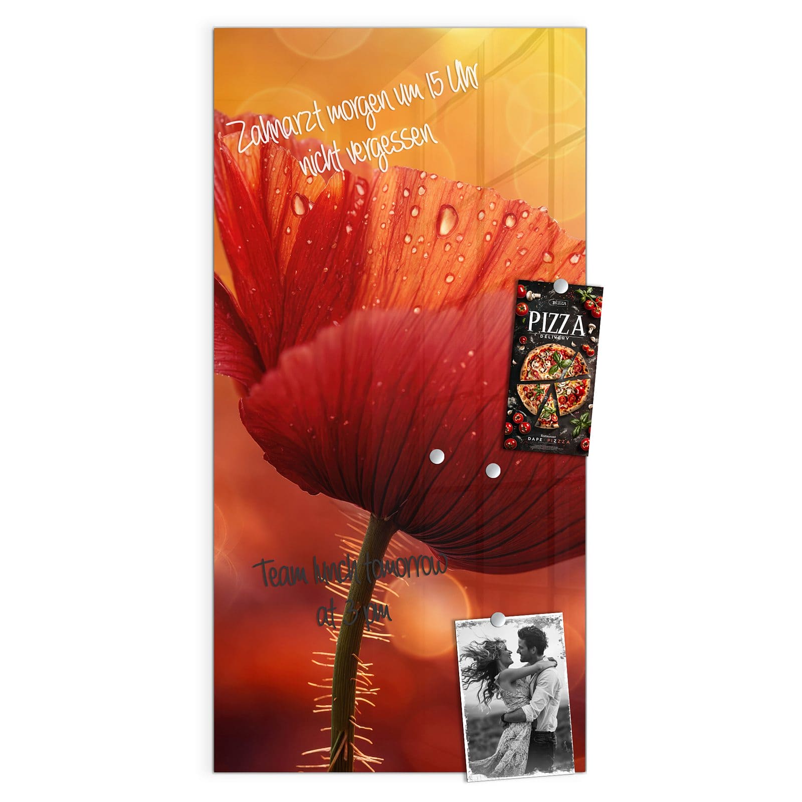 #grösse_50 x 100 cm