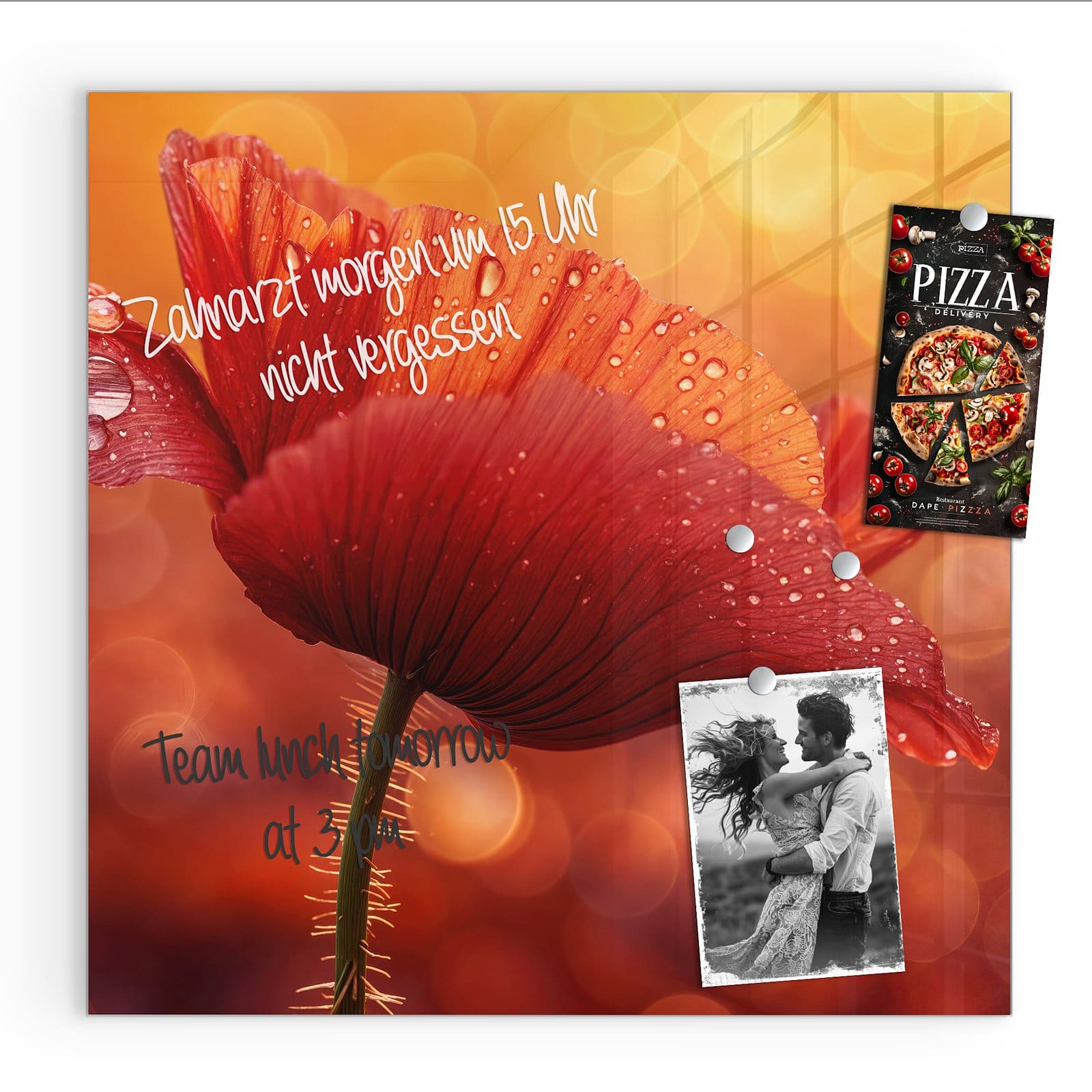 #grösse_30 x 30 cm #grösse_50 x 50 cm