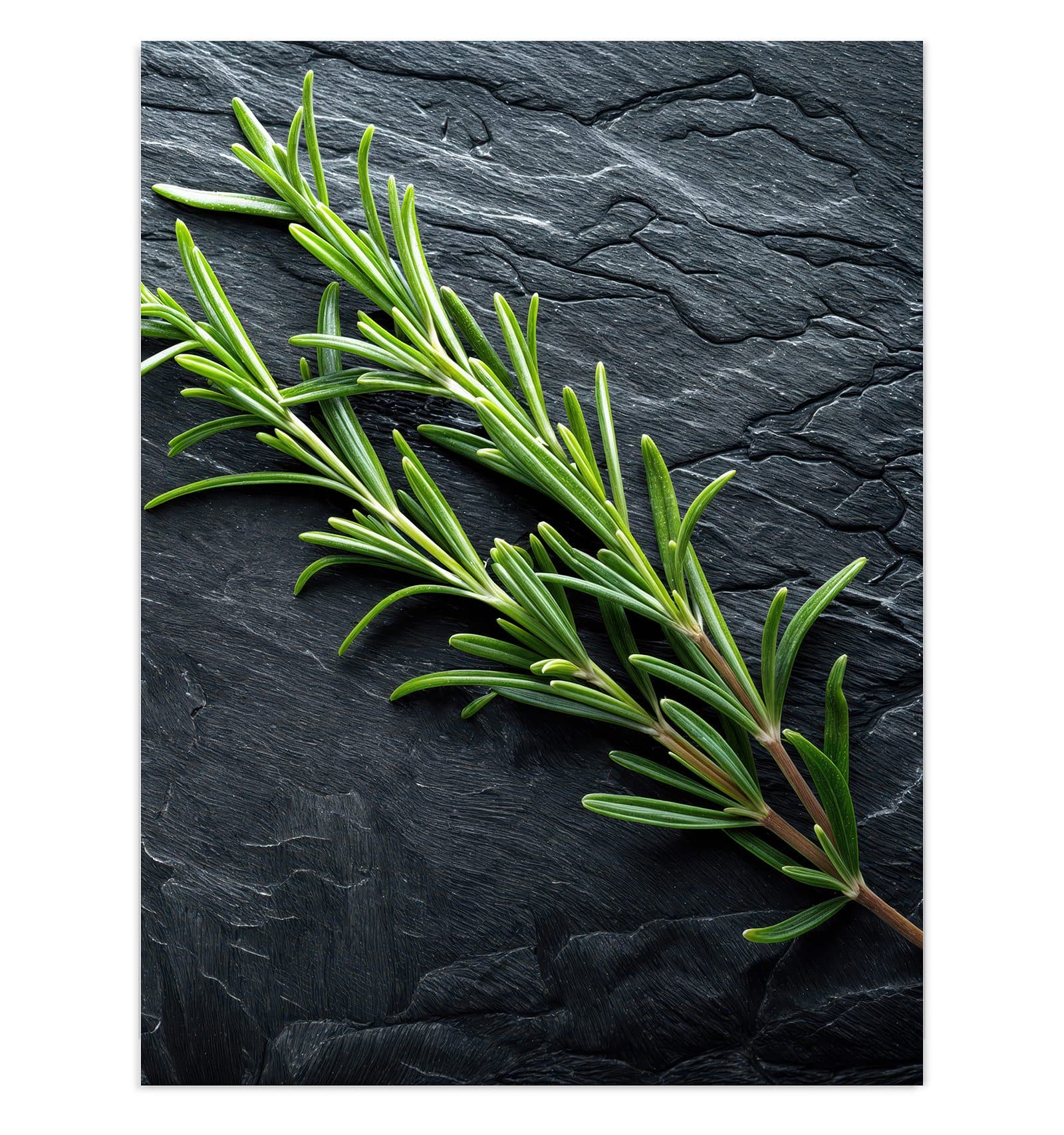 #grösse_30 x 40 cm #grösse_60 x 80 cm #grösse_75 x 100 cm