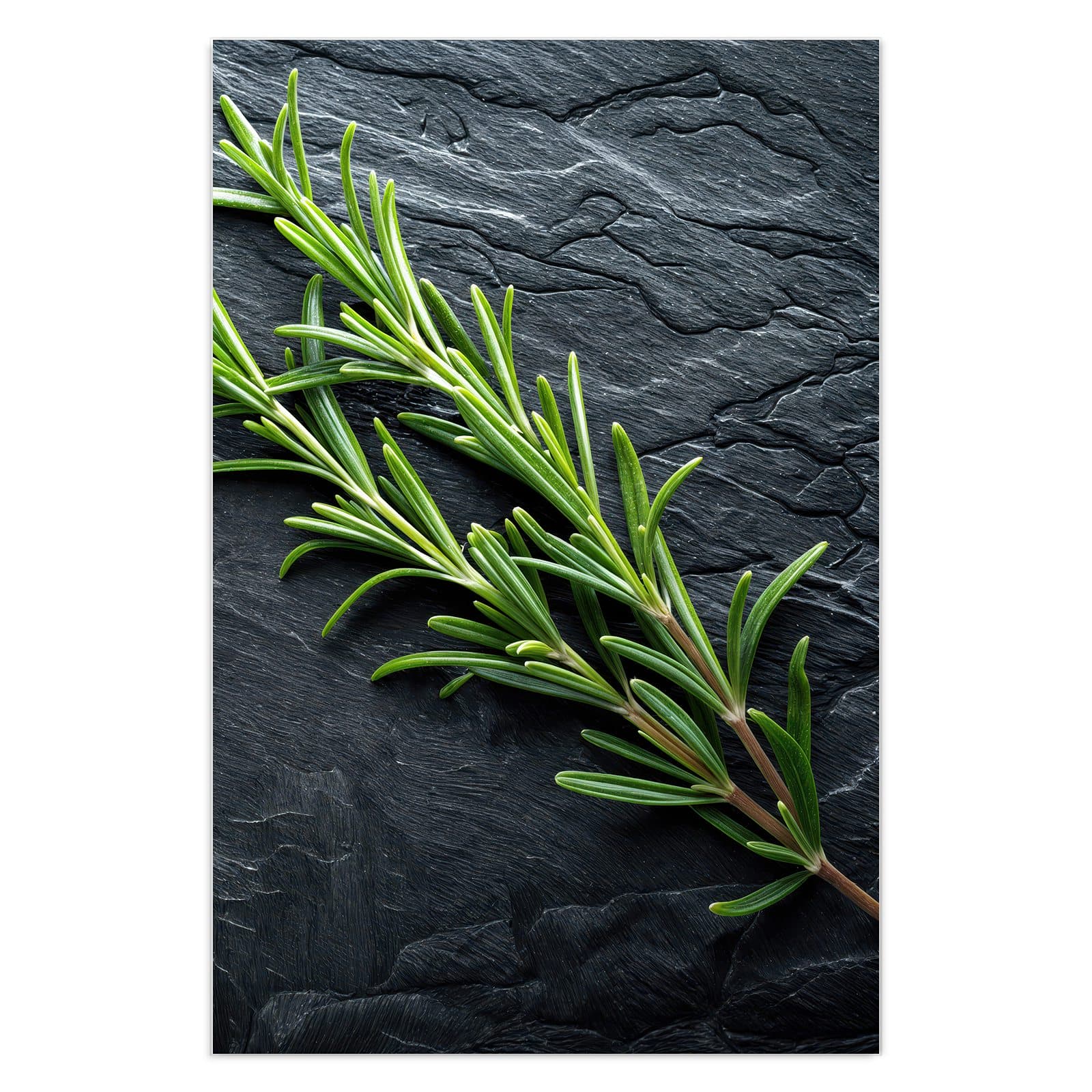 #grösse_40 x 60 cm #grösse_50 x 75 cm #grösse_60 x 90 cm