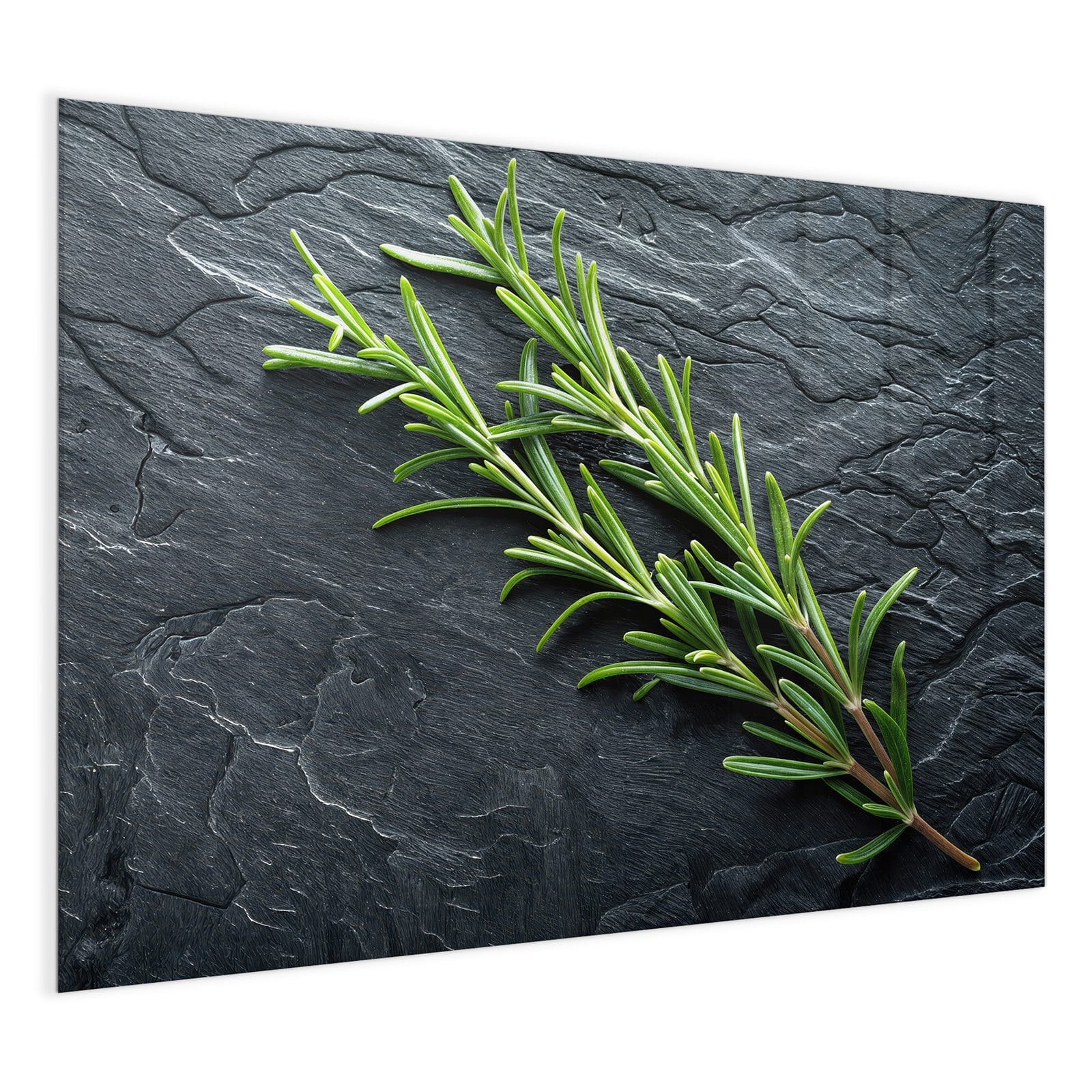 #grösse_120 x 90 cm