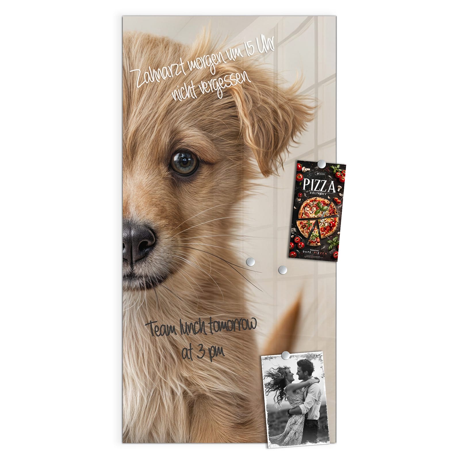 #grösse_50 x 100 cm