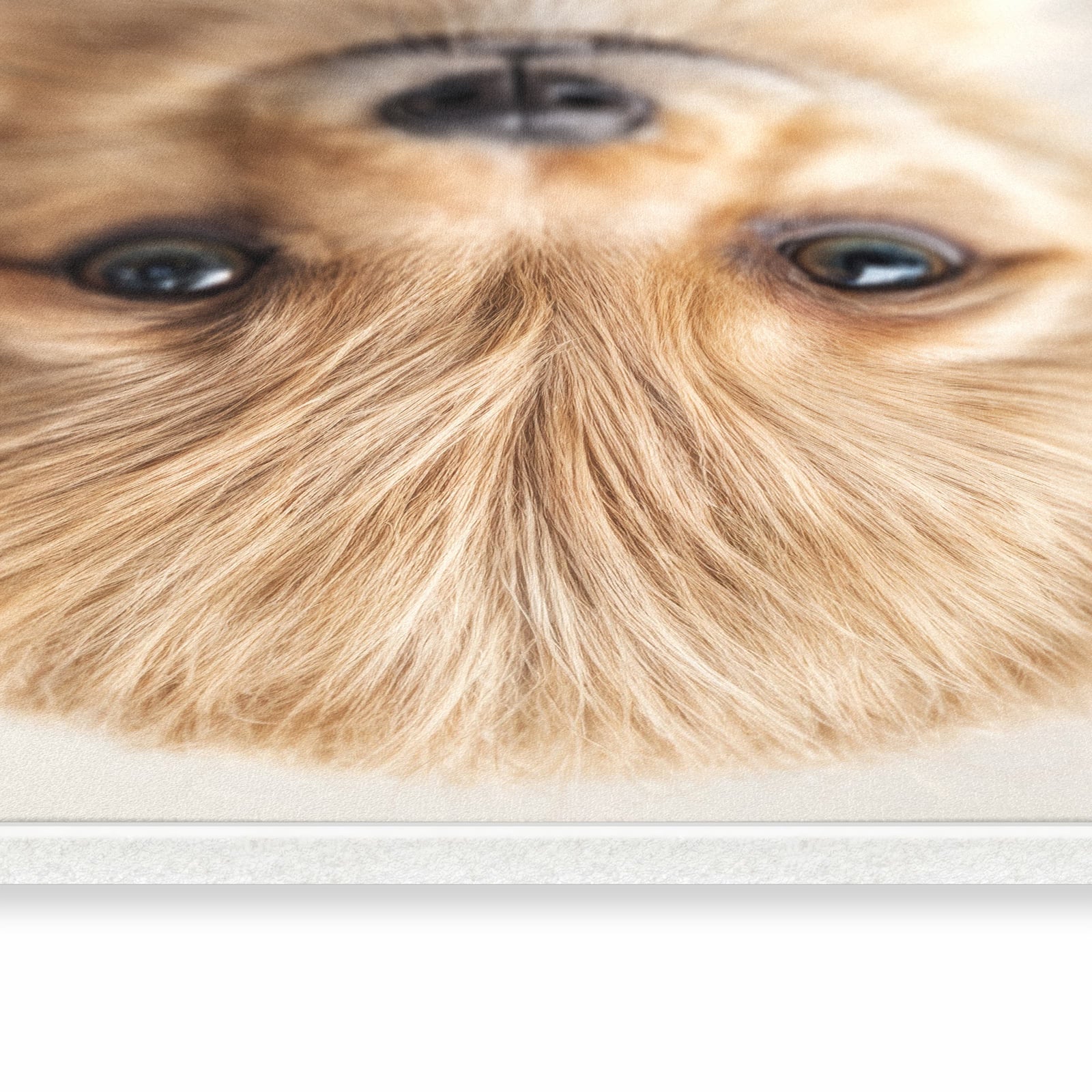 Wasserabweisender dünner Teppich mit Motiv Welpenbilde in seitlicher Ansicht