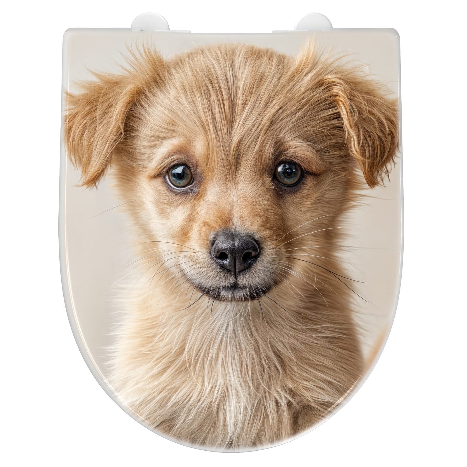 WC-Sitz mit Absenkautomatik Welpenbilde