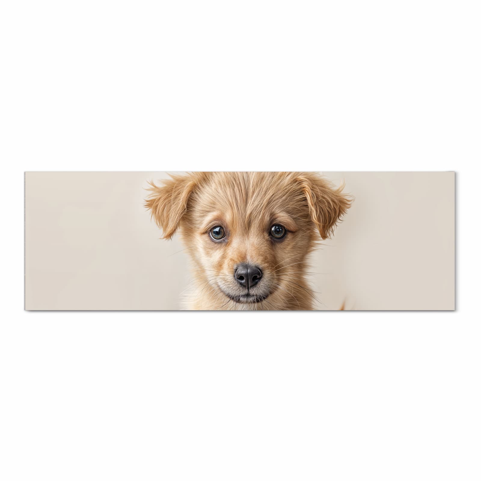 Pflegeleichter Küchenläufer mit Motiv Welpenbilde in Frontansicht