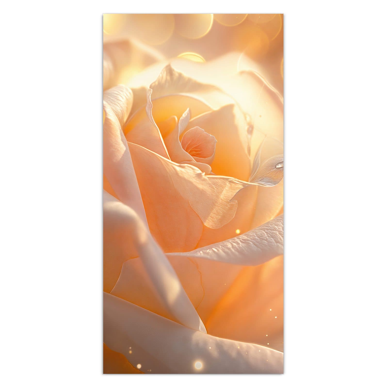 #grösse_30 x 60 cm #grösse_40 x 80 cm #grösse_50 x 100 cm #grösse_55 x 110 cm #grösse_60 x 120 cm