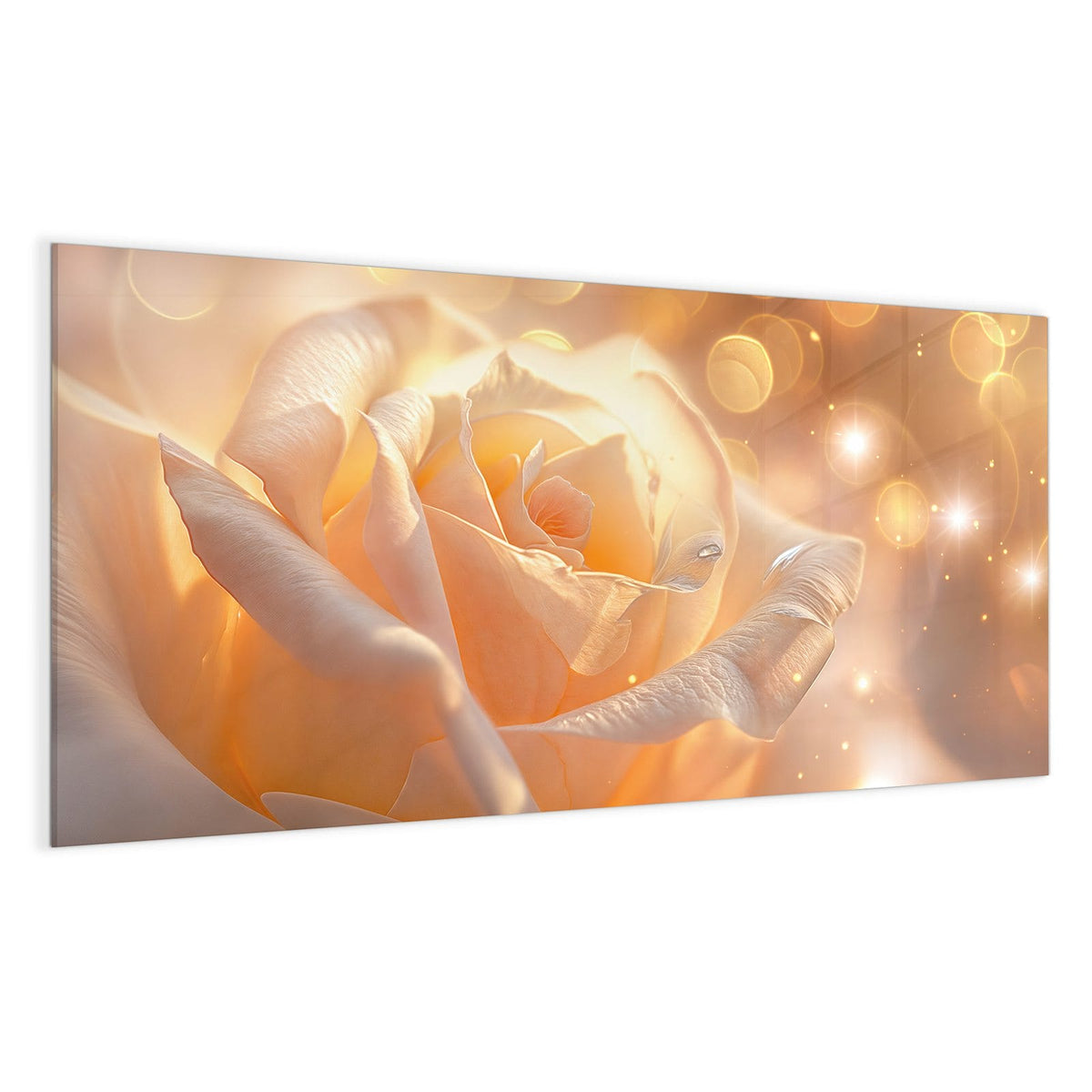 Cremeweiße bis apricotfarbene Rosenblüte in warmem Licht mit goldenen Lichtpunkten.