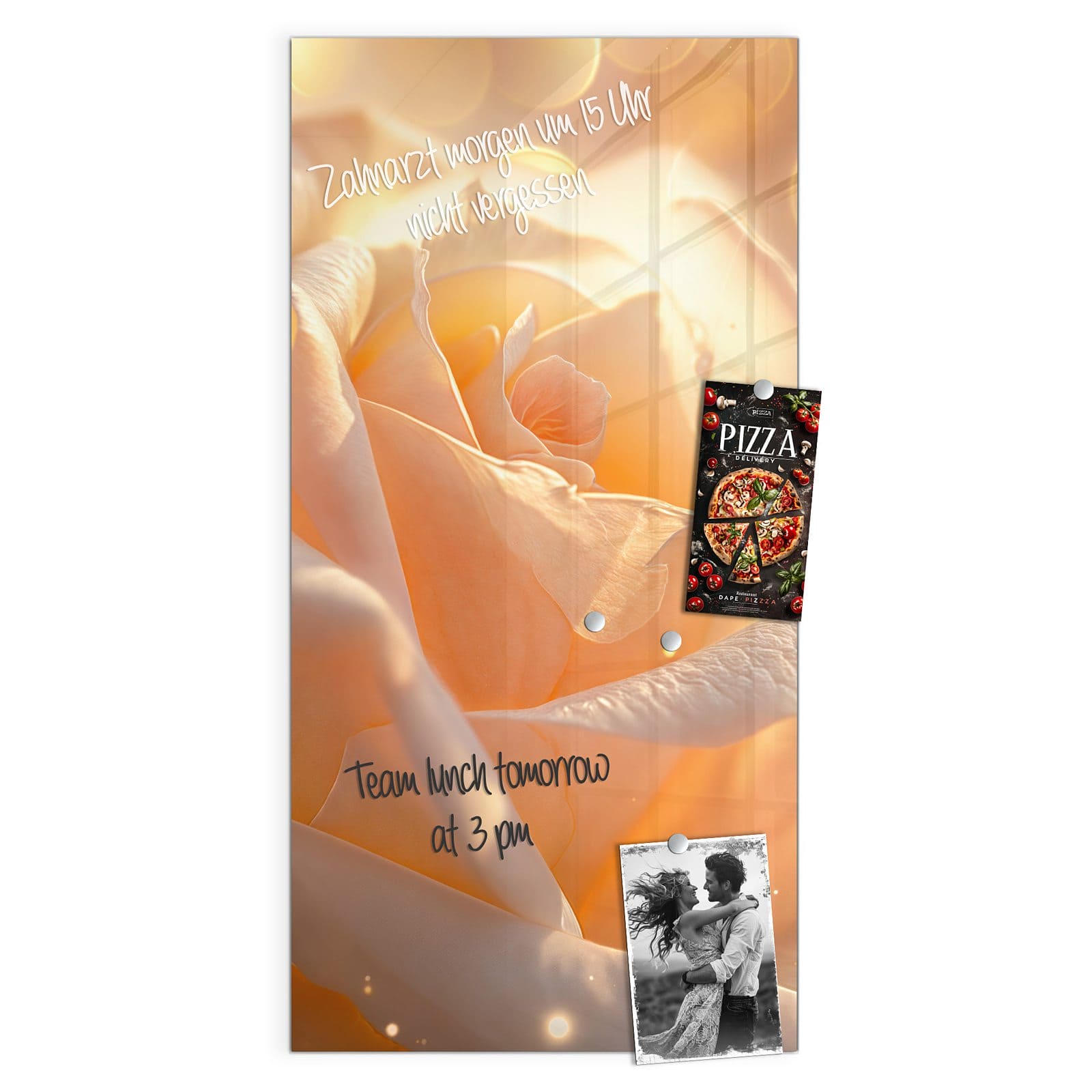 #grösse_50 x 100 cm