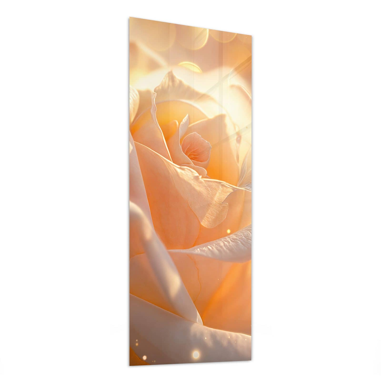 #grösse_50 x 125 cm #grösse_40 x 100 cm #grösse_60 x 150 cm