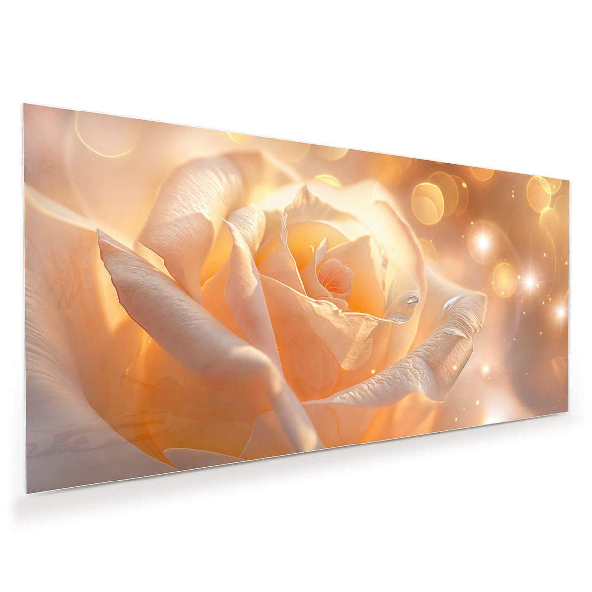 Cremeweiße bis apricotfarbene Rosenblüte in warmem Licht mit goldenen Lichtpunkten.
