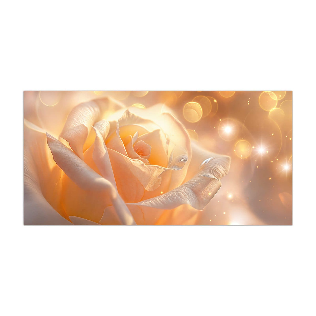 Küchenrückwand aus Glas Apricotfarbene Rose im Hochformat, Motiv bildfüllend von vorn