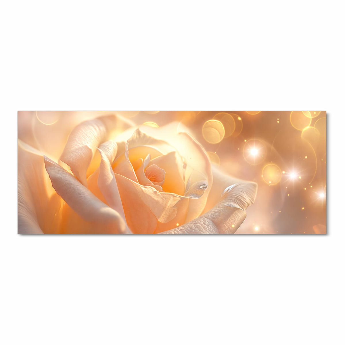Cremeweiße bis apricotfarbene Rosenblüte in warmem Licht mit goldenen Lichtpunkten.