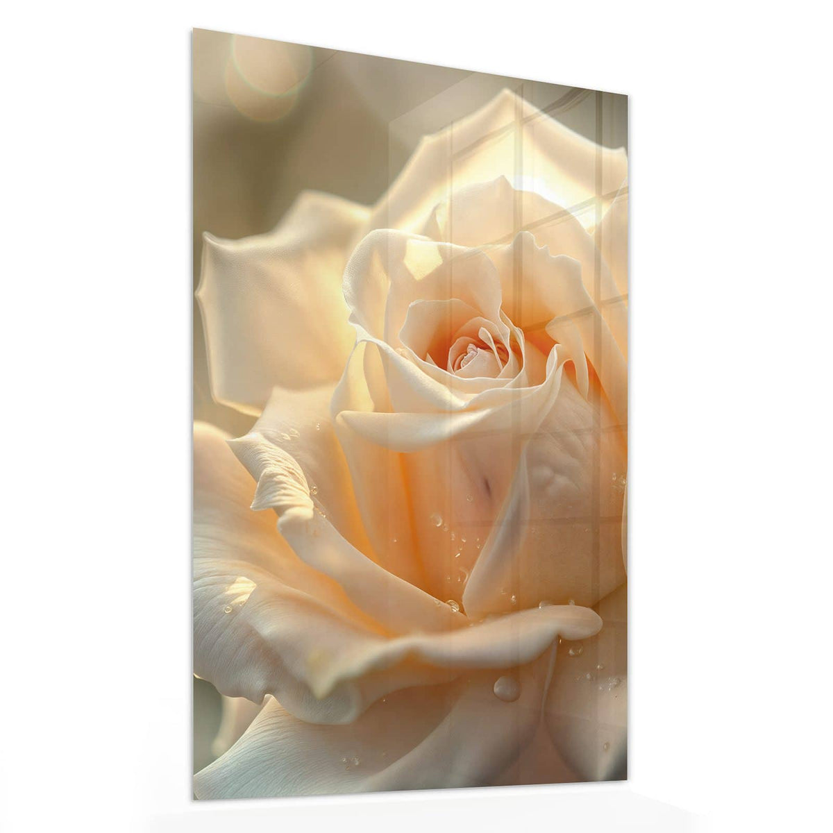 11 Größen – von 30 × 60 bis 60 × 150 cm – Wandbild - Rose mit Wassertropfen - Hochformat