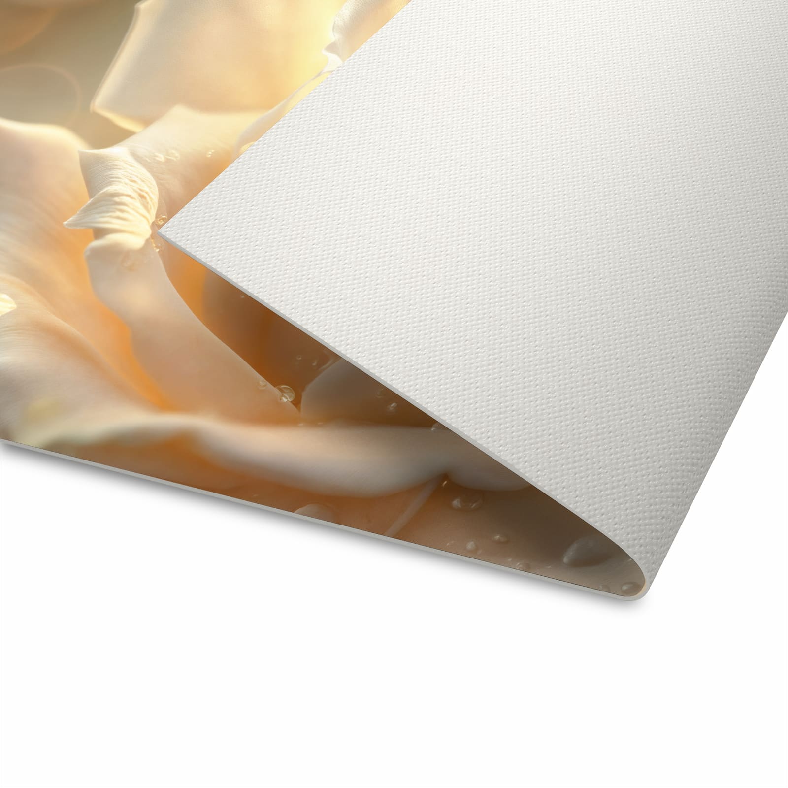 Küchenteppich mit Motiv Elegante Rose für angenehme Haptik beim Stehen in Unterseite