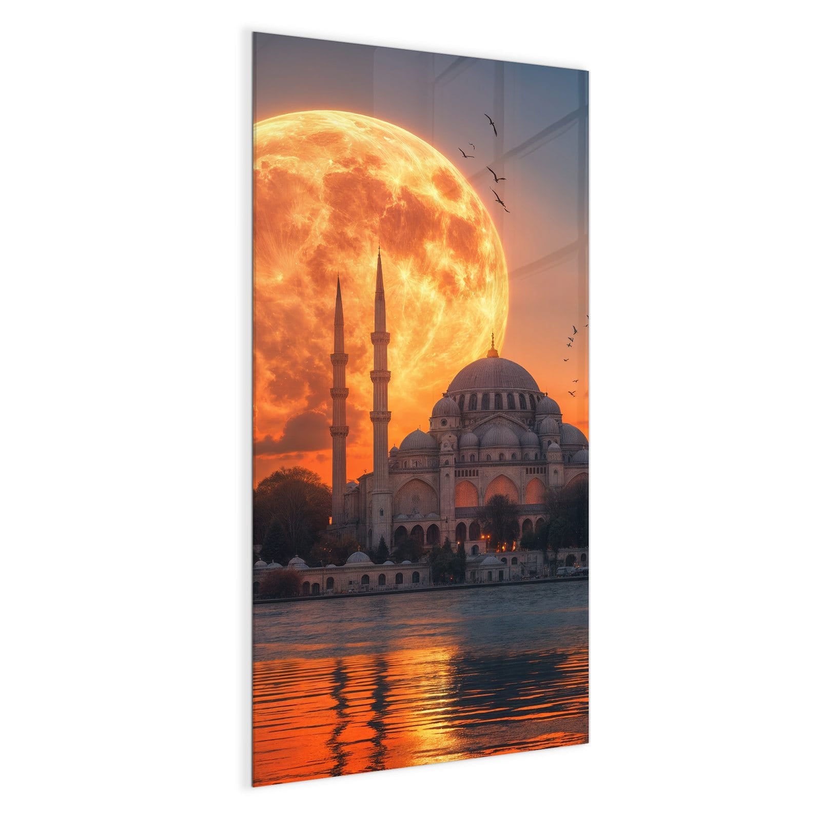 #grösse_50 x 100 cm