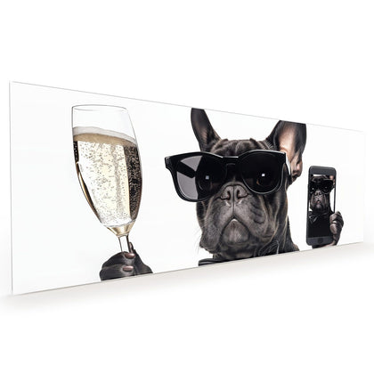 Küchenrückwand mit dem Motiv Hund mit Sonnenbrille