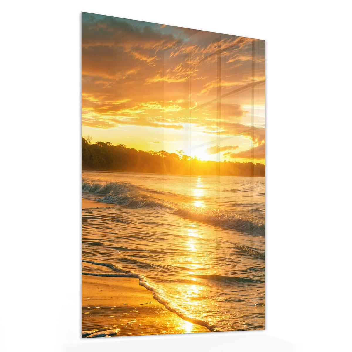 Glasbild Palme im Abendgold von der Seite, 4 mm Echtglas