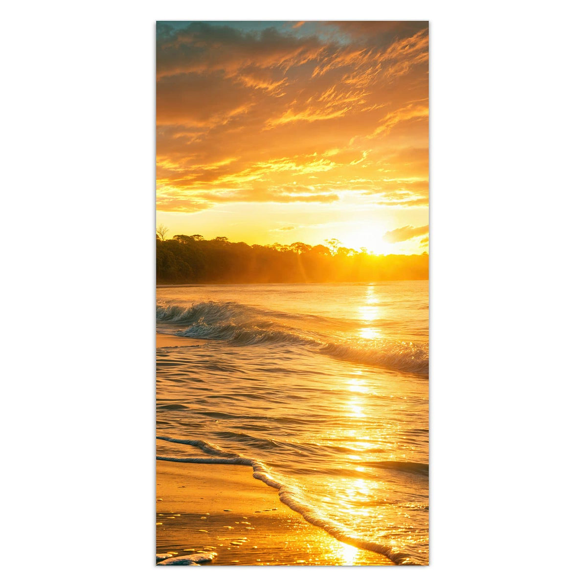 11 Größen – von 30 × 60 bis 60 × 150 cm – Wandbild - Palme im Abendgold - Hochformat
