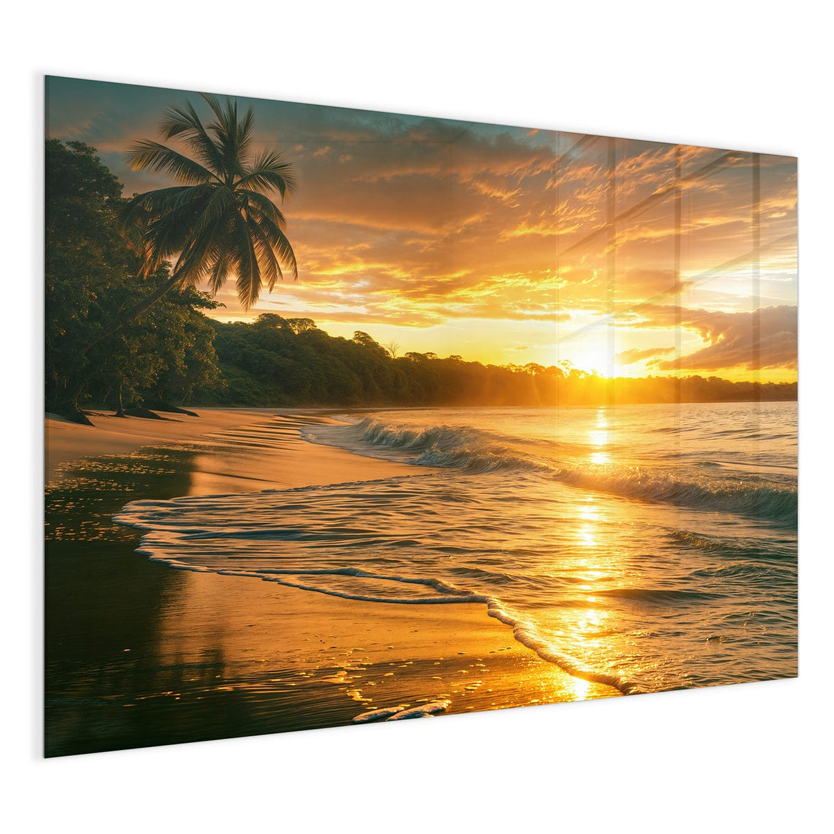 4 mm Glas statt lackiertem Blech – Glas Magnettafel - Palme im Abendgold