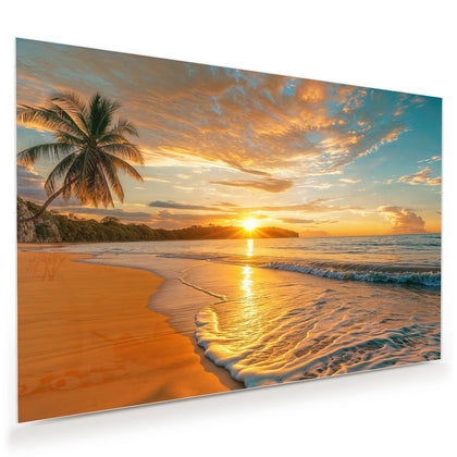 Wandbild mit dem Motiv Palme am Abendstrand