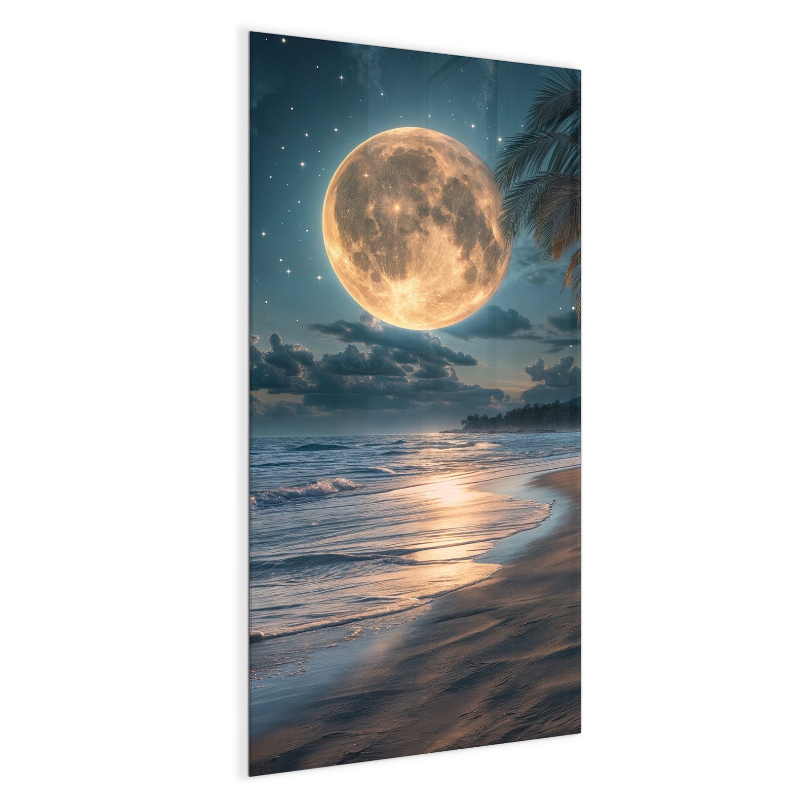 #grösse_50 x 100 cm