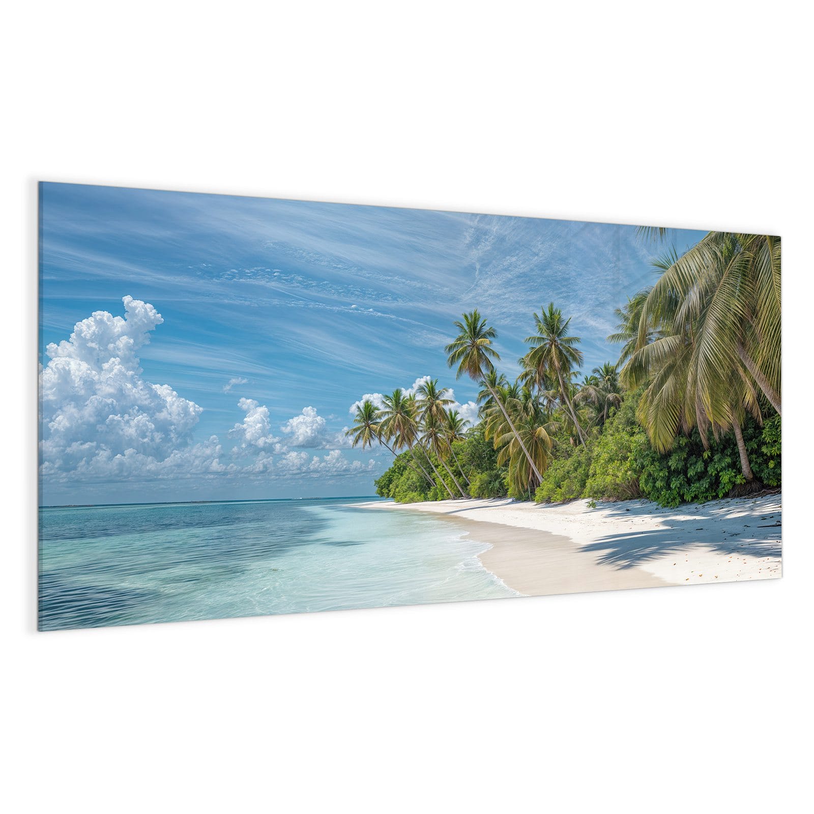 #grösse_100 x 50 cm