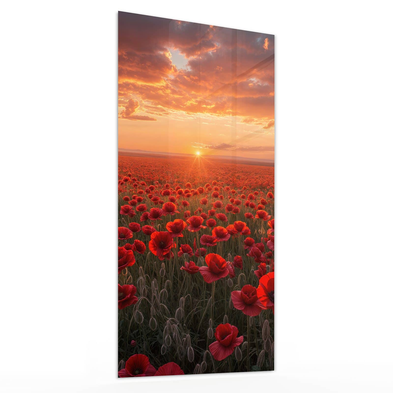 #grösse_30 x 60 cm #grösse_40 x 80 cm #grösse_50 x 100 cm #grösse_55 x 110 cm #grösse_60 x 120 cm
