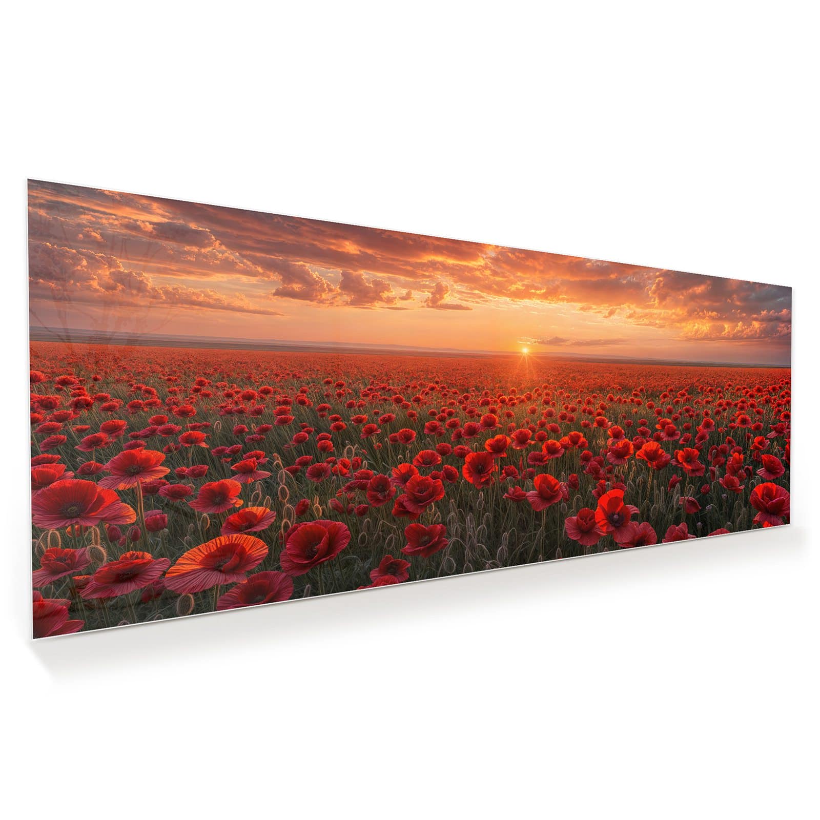 #grösse_100 x 40 cm #grösse_125 x 50 cm #grösse_150 x 60 cm
