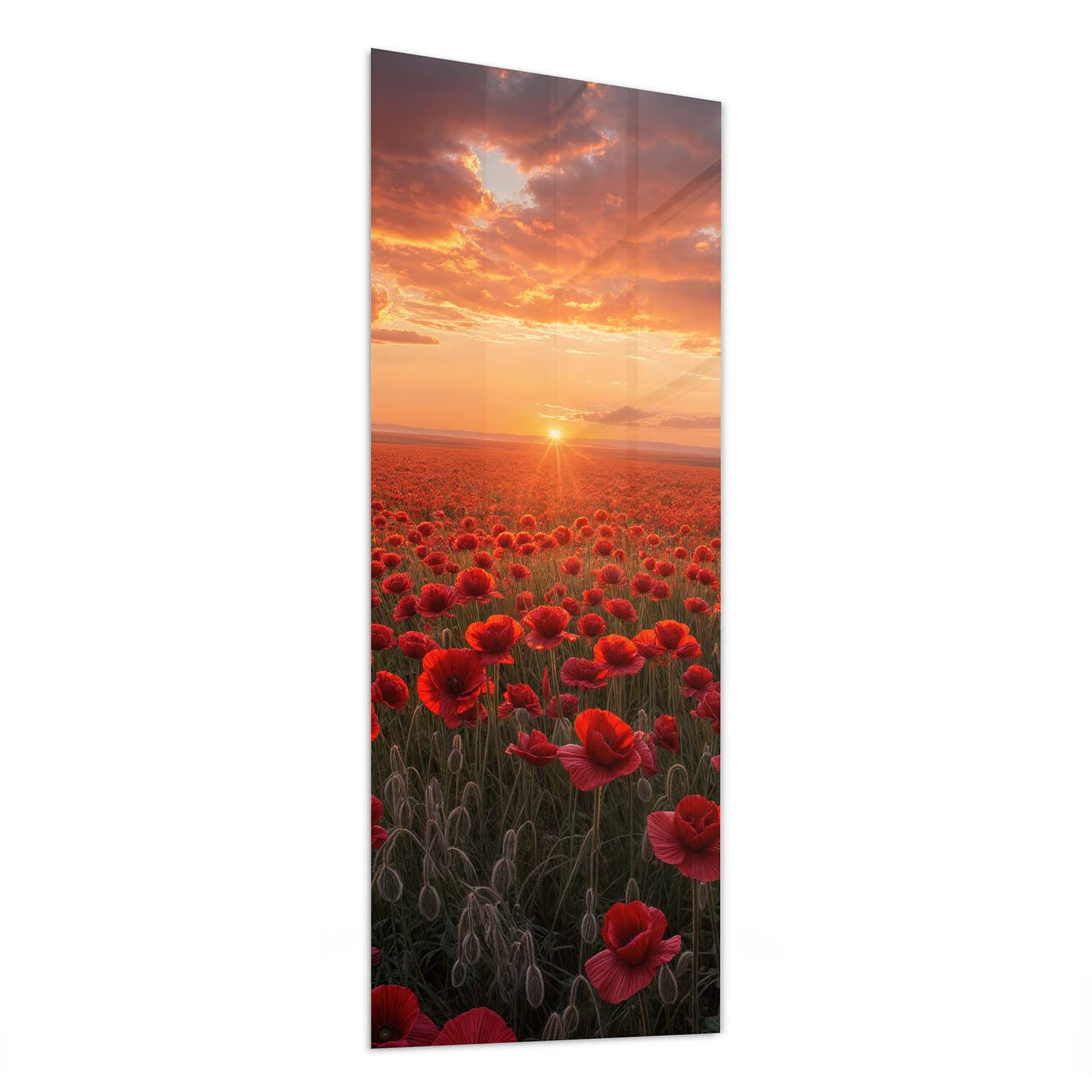 #grösse_50 x 125 cm #grösse_40 x 100 cm #grösse_60 x 150 cm