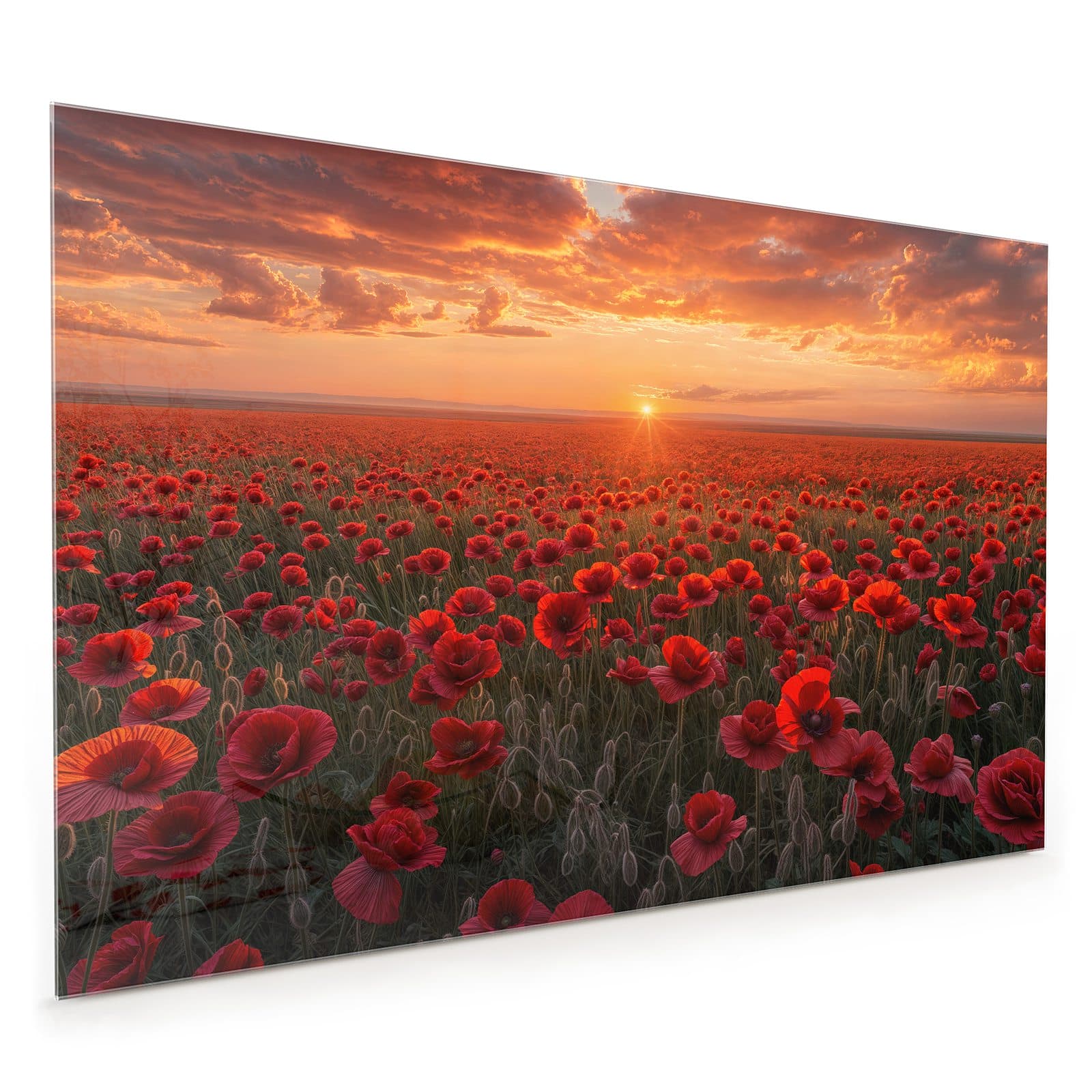 #80 x 120 cm_