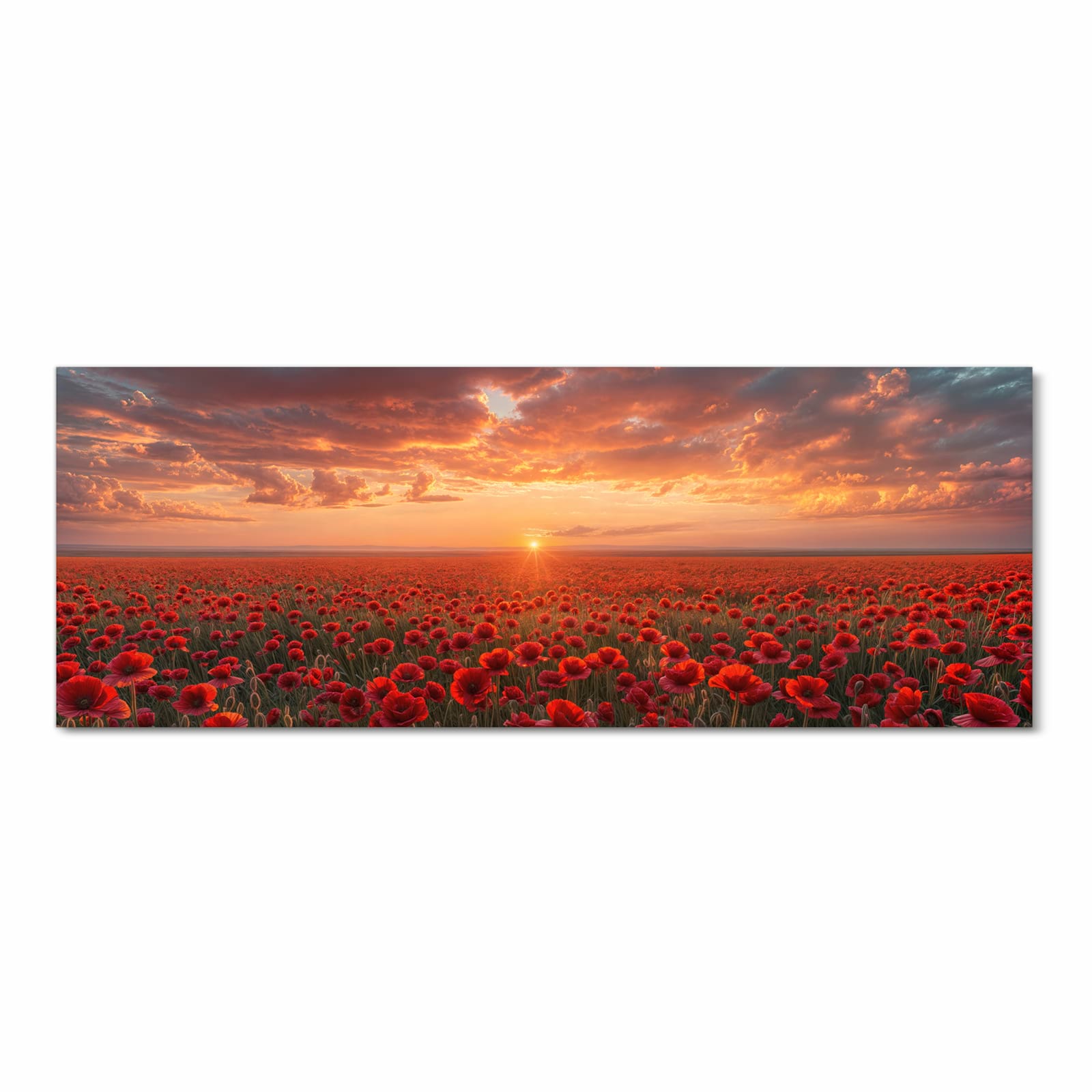 Ordnungsschaffender Küchenteppich mit Motiv Mohnfeld Sonnenuntergang in Frontansicht für Übersicht