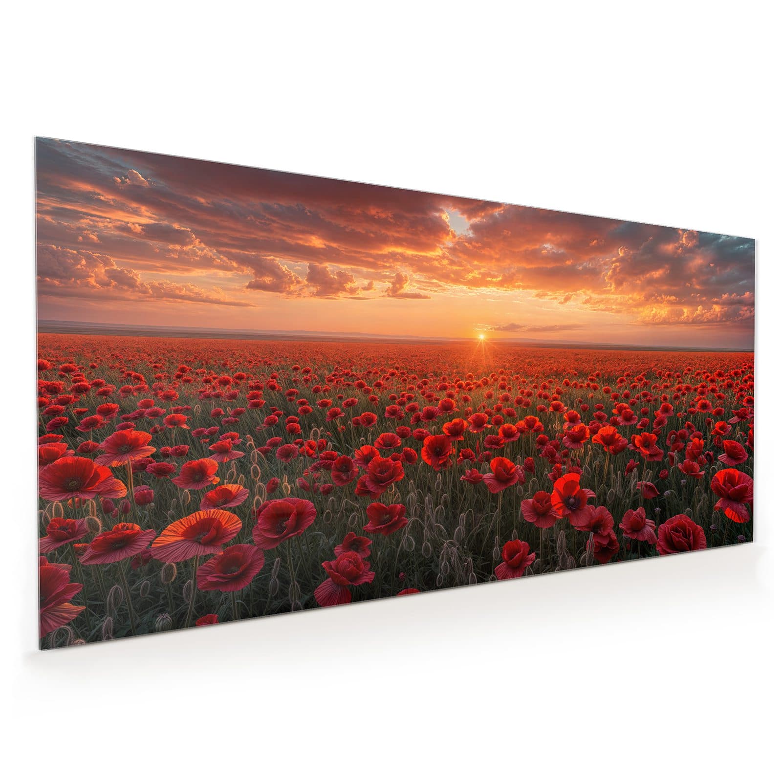 #60 x 120 cm_