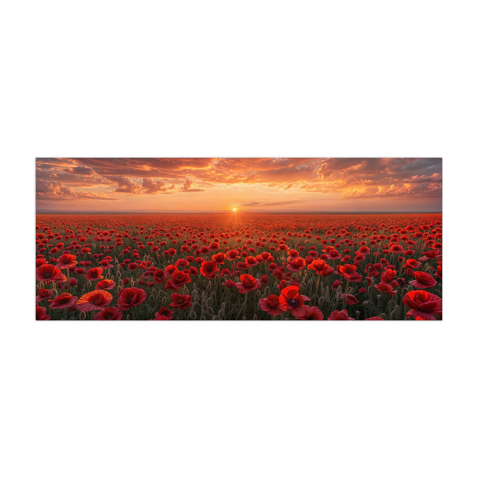 #grösse_40 x 100 cm #grösse_50 x 125 cm #grösse_60 x 150 cm