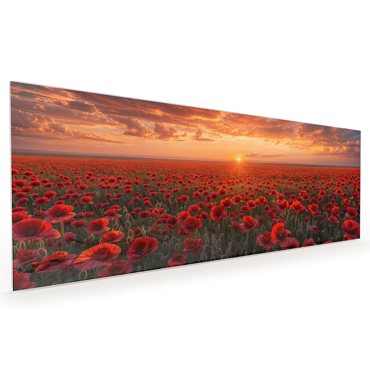 #grösse_40 x 100 cm #grösse_50 x 125 cm #grösse_60 x 150 cm