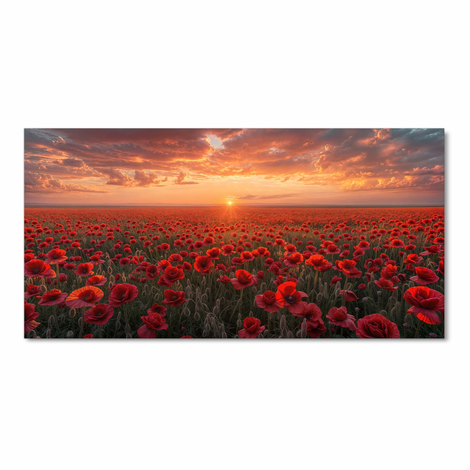 Rutschfester waschbarer Küchenläufer mit Motiv Mohnfeld Sonnenuntergang in Frontansicht