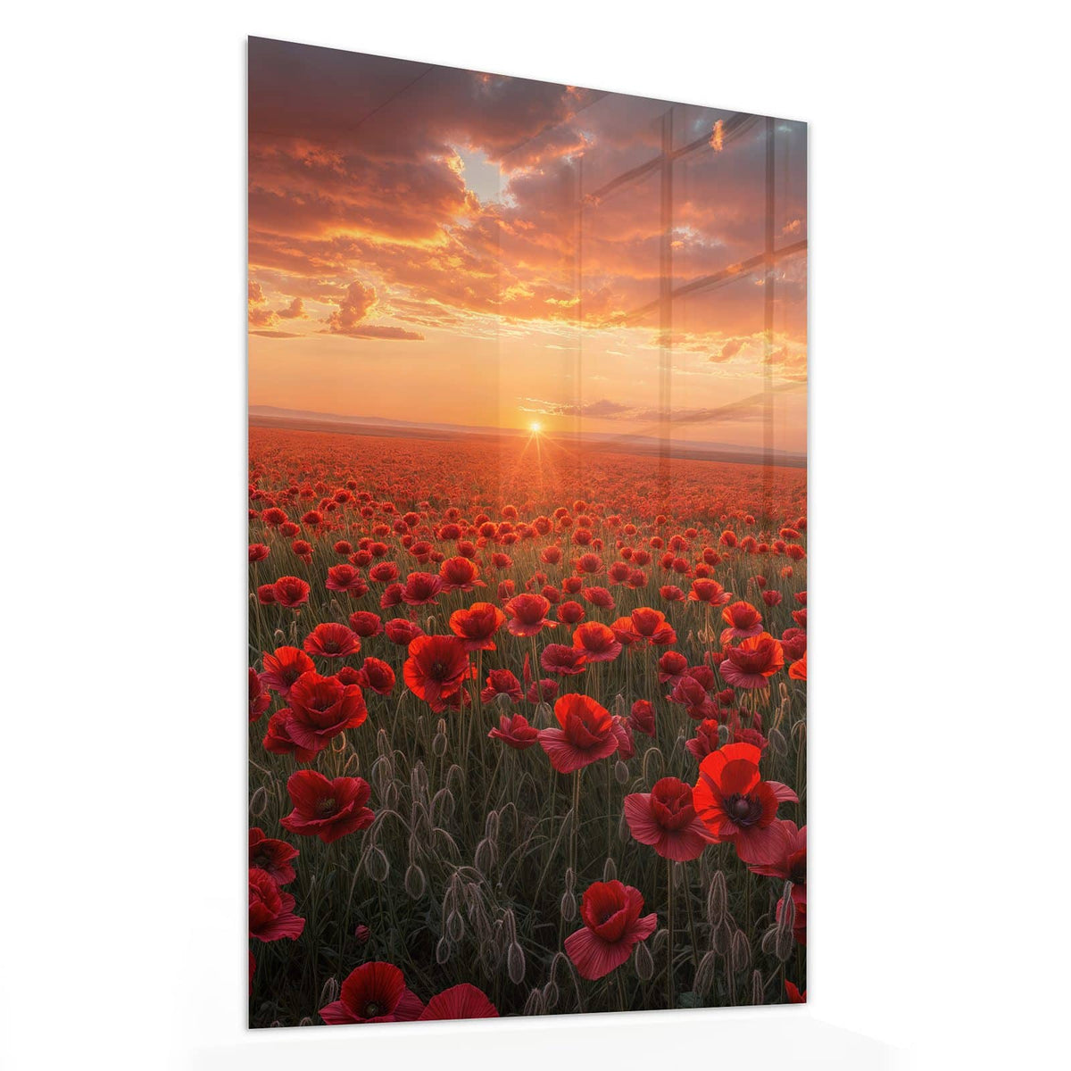 11 Größen – von 30 × 60 bis 60 × 150 cm – Wandbild - Mohnfeld im Abendrot - Hochformat